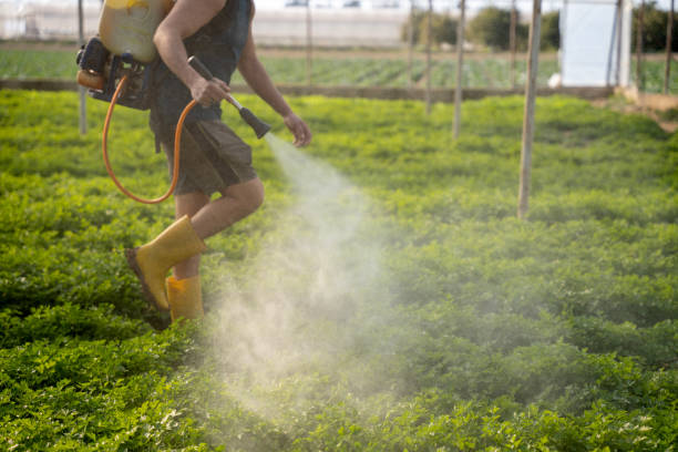 Insect Control in Fussels Corner, FL