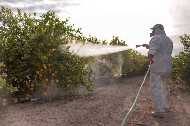 Best Pest Control Near Me  in Fussels Corner, FL