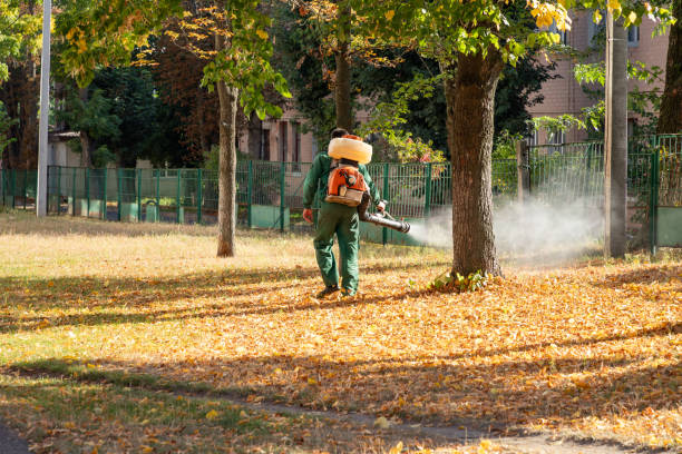 Best Emergency Pest Control  in Fussels Corner, FL
