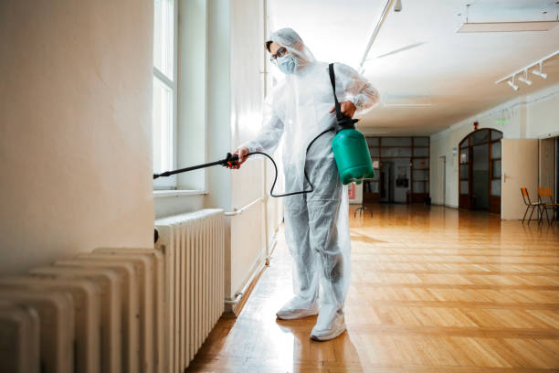 Best Mosquito Control Services  in Fussels Corner, FL