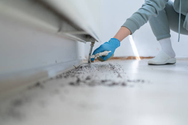 Best Bed Bug Extermination  in Fussels Corner, FL